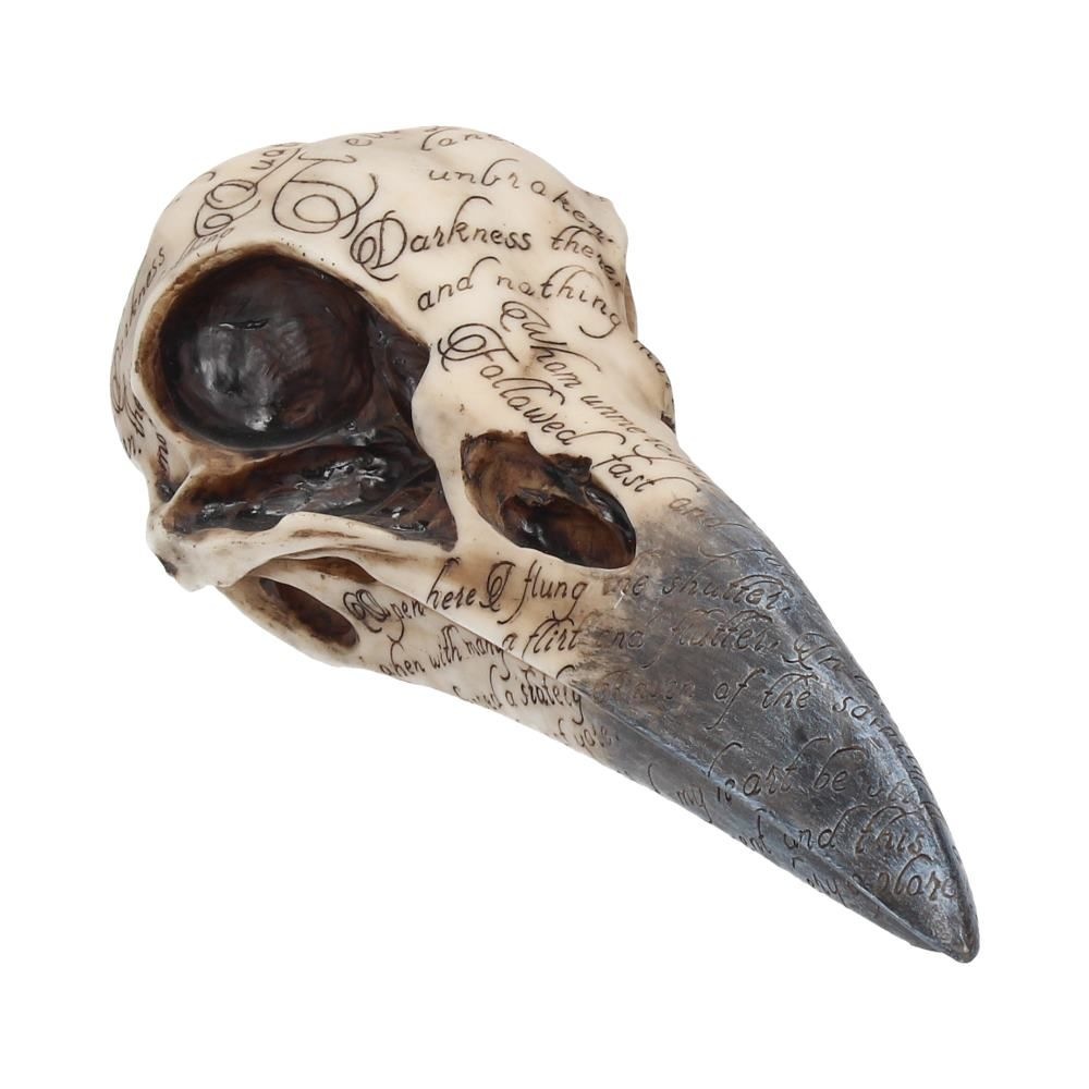 Nemesis Now - Edgar's Raven Skull Figurine - Crème